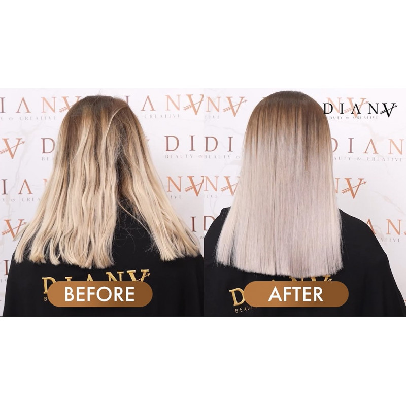 FRIZZ FIX ONLINE TRAINING-Education-Diana Beauty